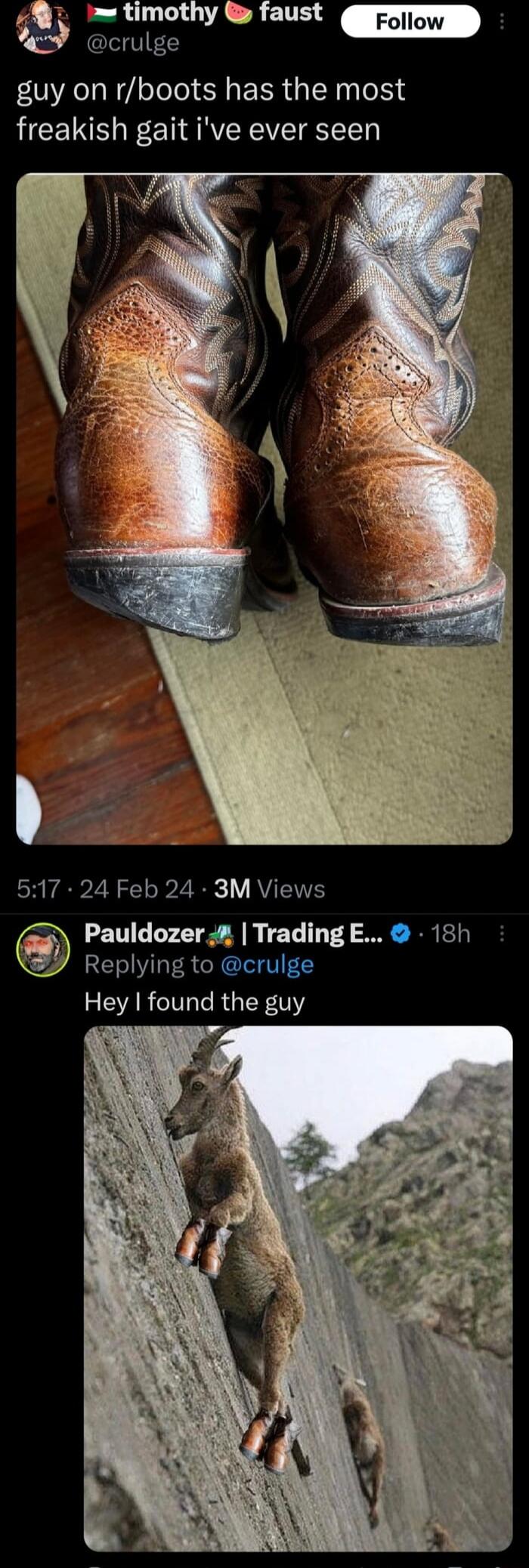 guy on rboots has the most freakish gait ive ever seen 517 24 Feb 24 3M Views Pauldozer Trading E 18h Replying to crulg SRR RGIERTY