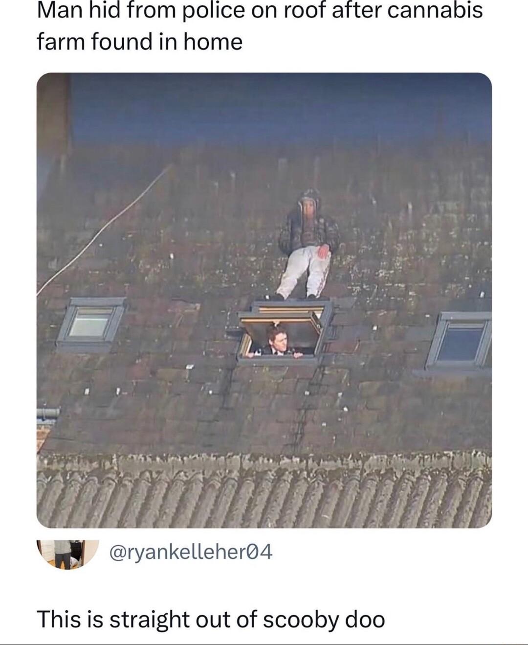 id from police on roof after cannabis farm found in home onankelleherod This is straight out of scooby doo