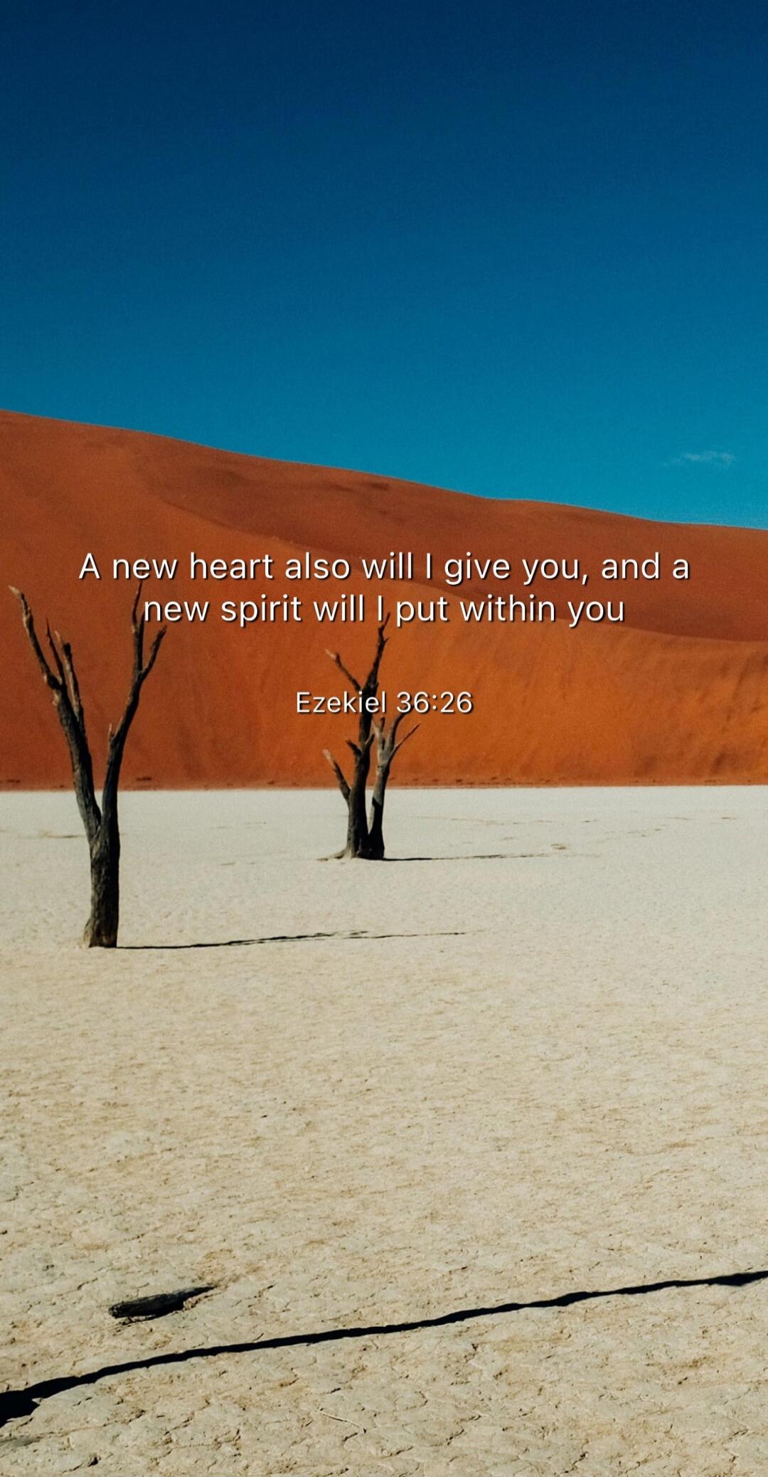 A new heart also will I give you, and a new spirit will I put within you
Ezekiel 36:26