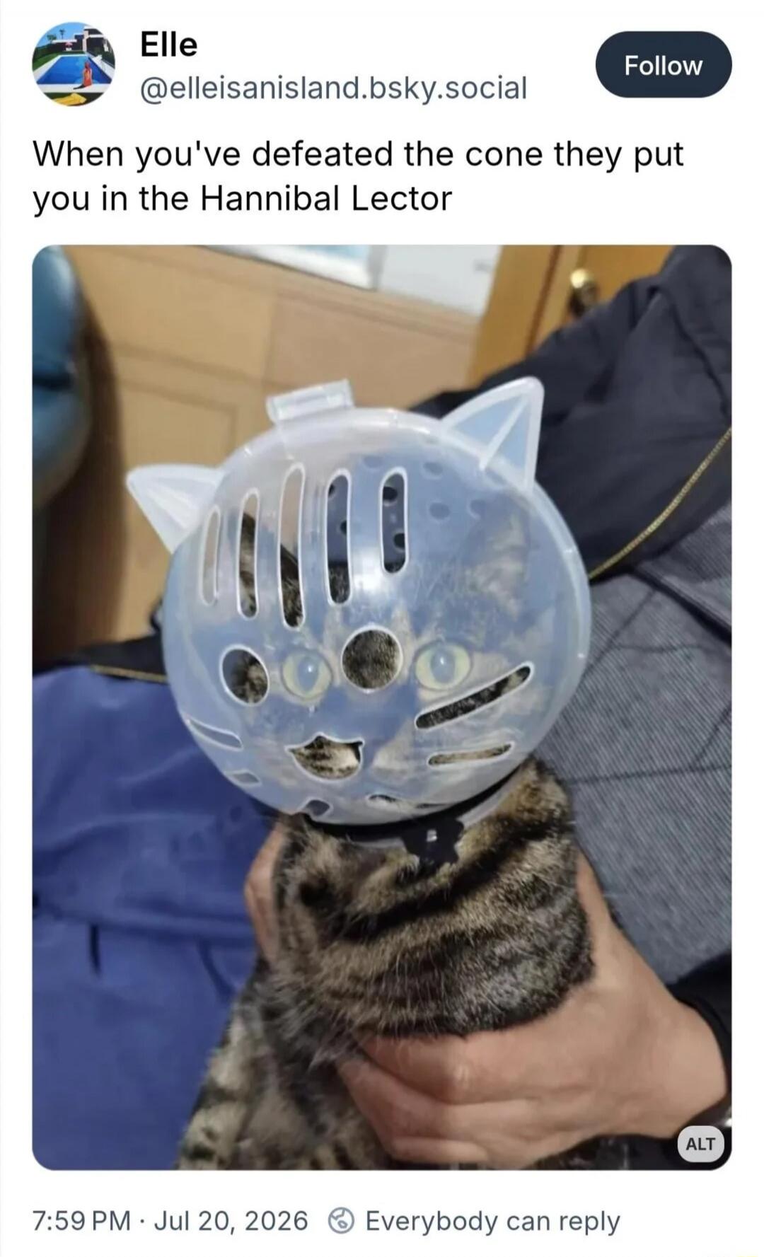 When you've defeated the cone they put you in the Hannibal Lector