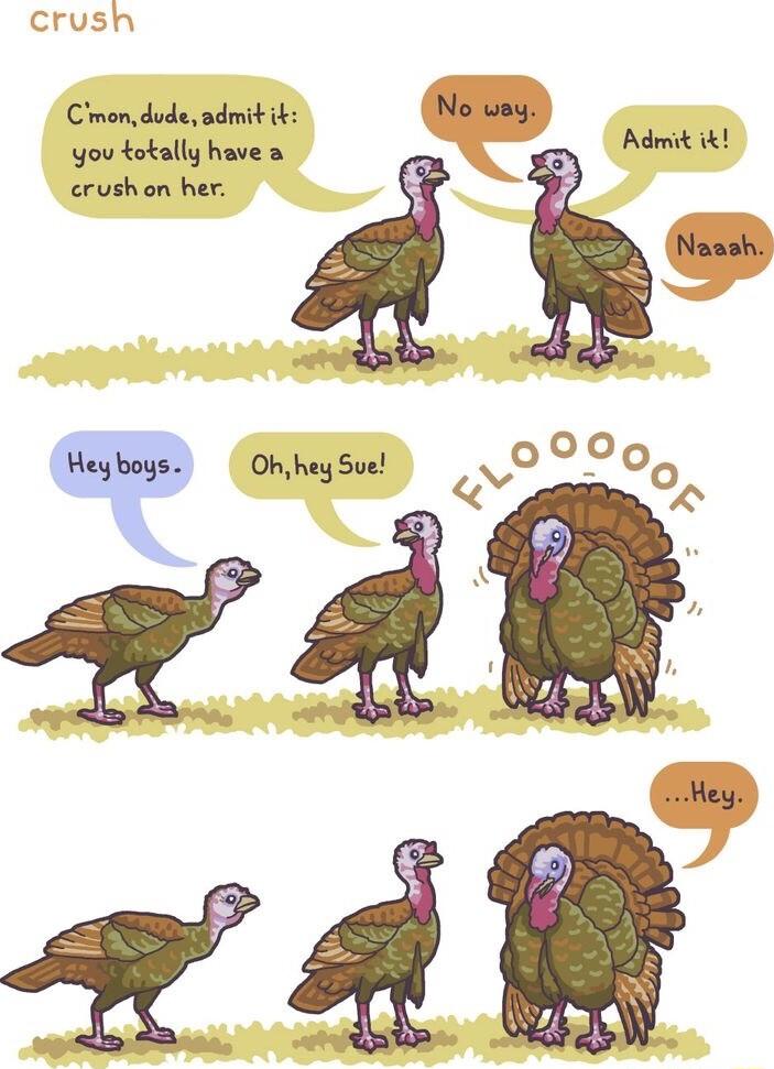 crush Chondudeadmit it No vay you totally have a Admit erushon her Naash