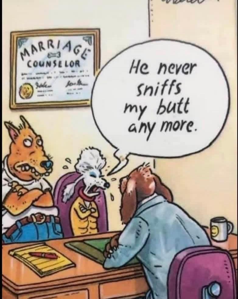 MARRIAGE COUNSELOR He never sniffs my butt any more.