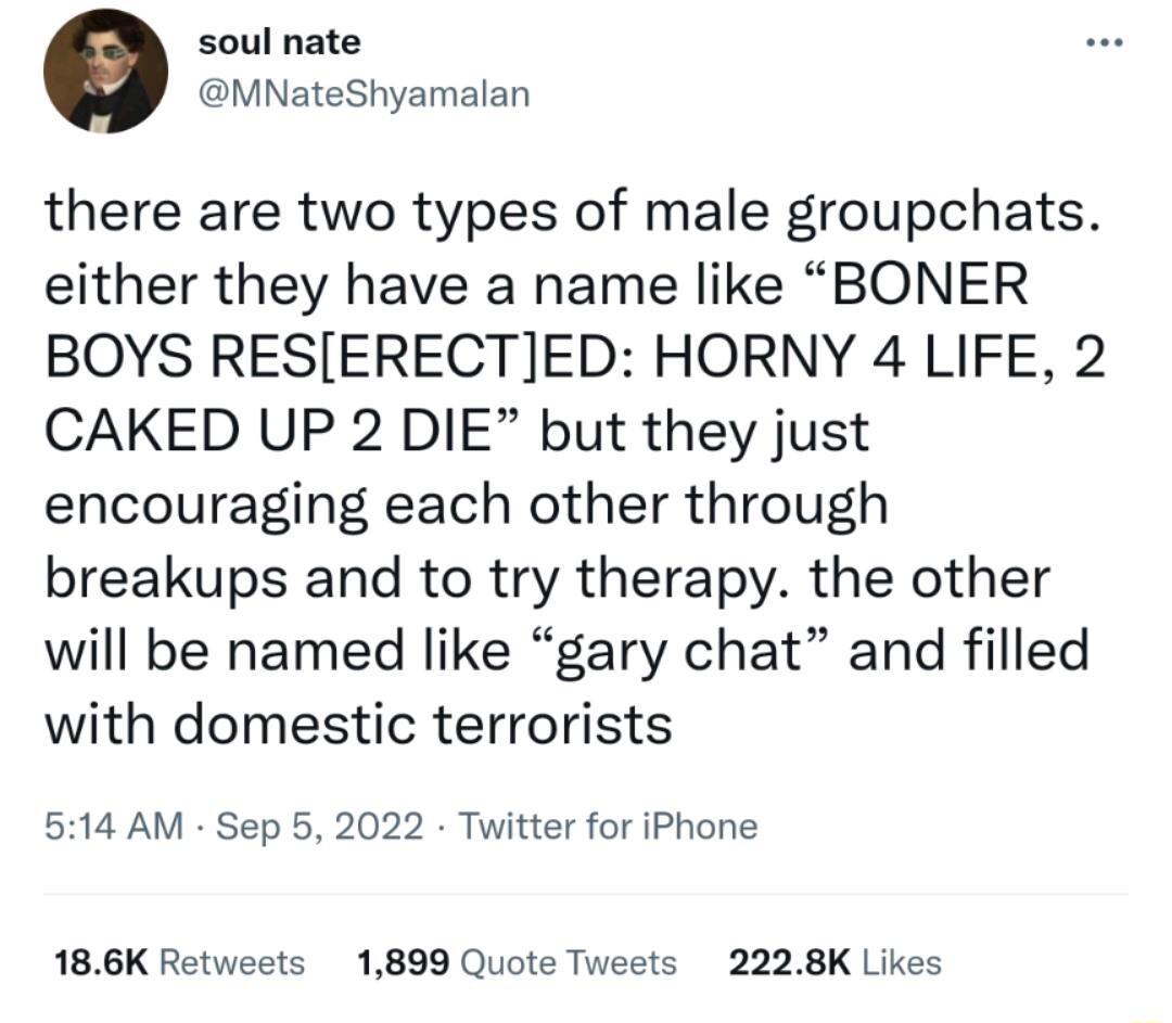 soul nate MNateShyamalan there are two types of male groupchats either they have a name like BONER BOYS RESERECTED HORNY 4 LIFE 2 CAKED UP 2 DIE but they just encouraging each other through breakups and to try therapy the other will be named like gary chat and filled with domestic terrorists 514 AM Sep 5 2022 Twitter for iPhone 186K Retweets 1899 Quote Tweets 2228K Likes