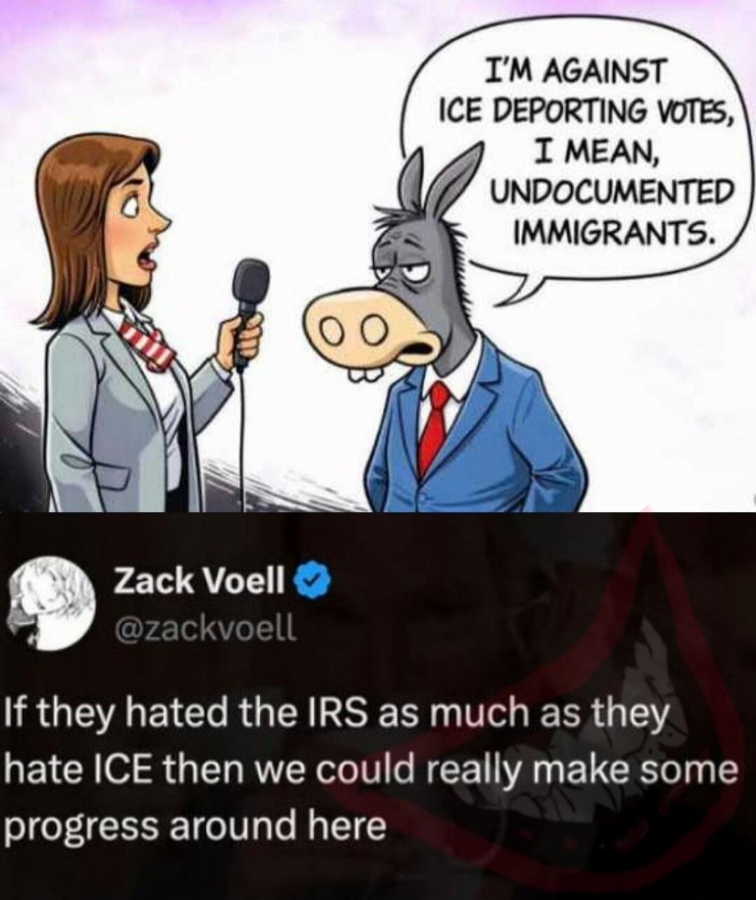 I'M AGAINST ICE DEPORTING VOTES, I MEAN, UNDOCUMENTED IMMIGRANTS.

If they hated the IRS as much as they hate ICE then we could really make some progress around here