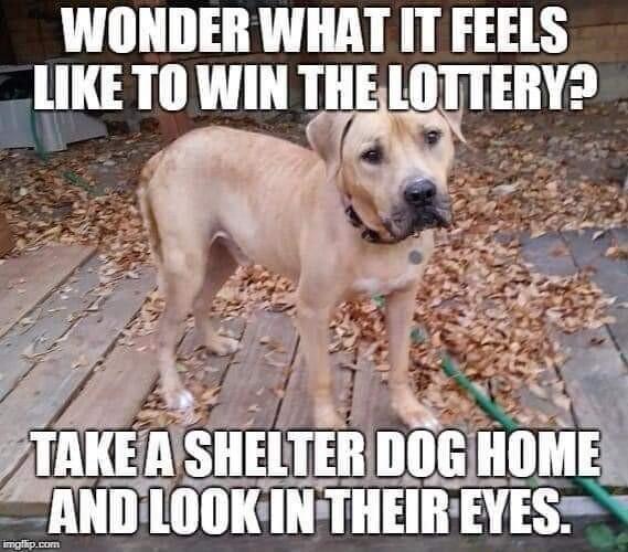 WONDER WHAT IT FEELS LIKE TO WIN THELO