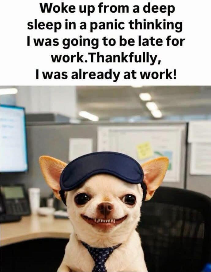 Woke up from a deep sleep in a panic thinking I was going to be late for work. Thankfully, I was already at work!