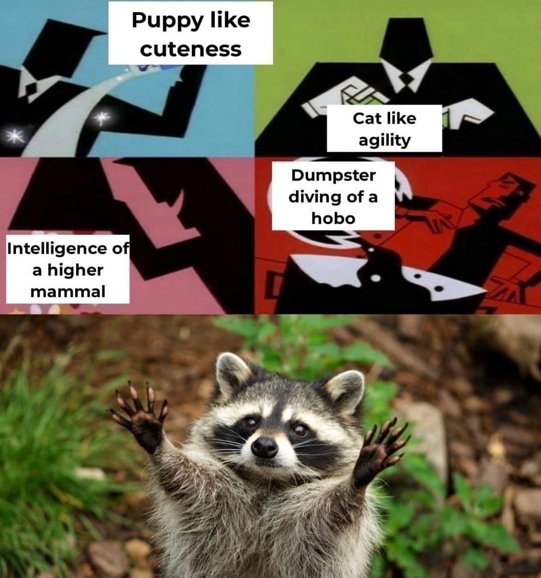 Puppy like cuteness Dumpster diving of a Intelligence off a higher mammal