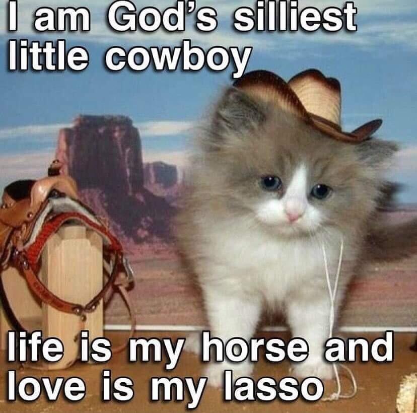 U e Cees gilles little o oXe a S Ioveylsmy EXE oA