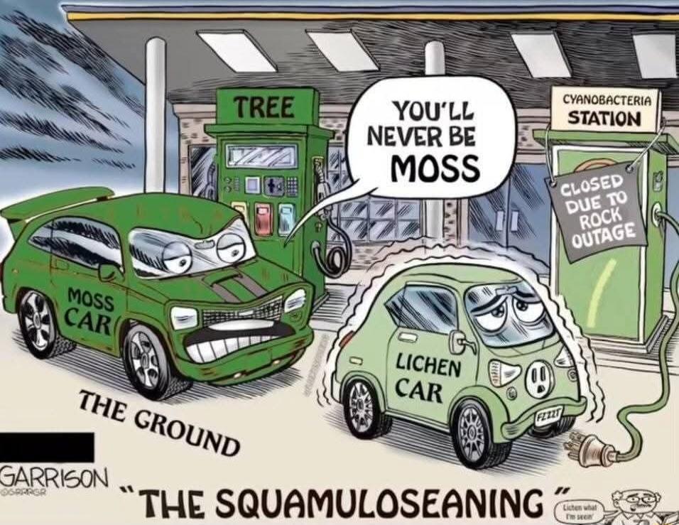 A green car labeled 'MOSS CAR' is at a 'TREE' gas station. It says to a smaller, lighter green car labeled 'LICHEN CAR' that is plugged into a 'CYANOBACTERIA STATION' which has a sign 'CLOSED DUE TO ROCK OUTAGE', 'YOU'LL NEVER BE MOSS'. The ground is also labeled 'THE GROUND'. There's a small text 'Lichen what I'm seein'' and 'FEZZT' on the license