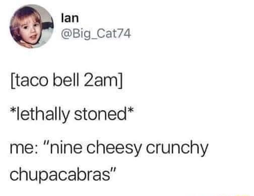 lan Big_Cat74 taco bell 2am lethally stoned me nine cheesy crunchy chupacabras