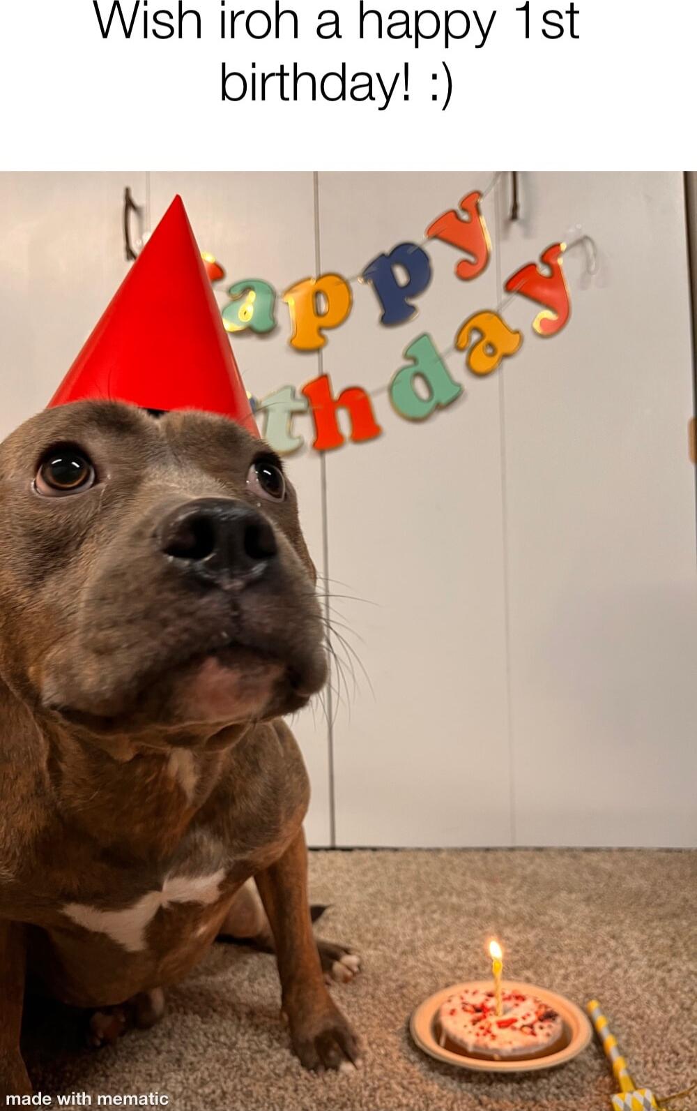 Wish iroh a nappy 1st birthday