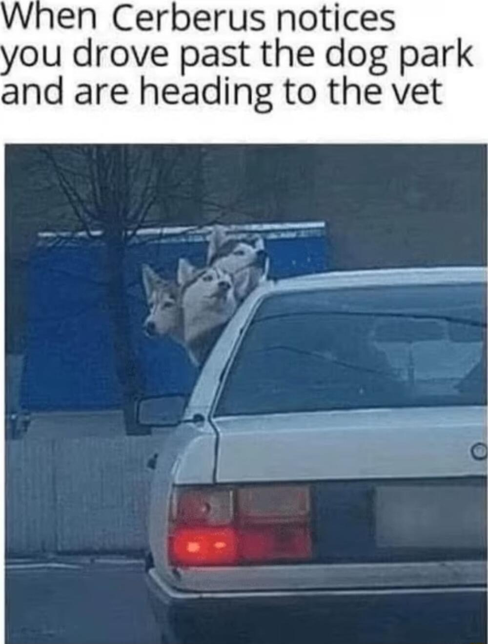 When Cerberus notices you drove past the dog park and are heading to the vet