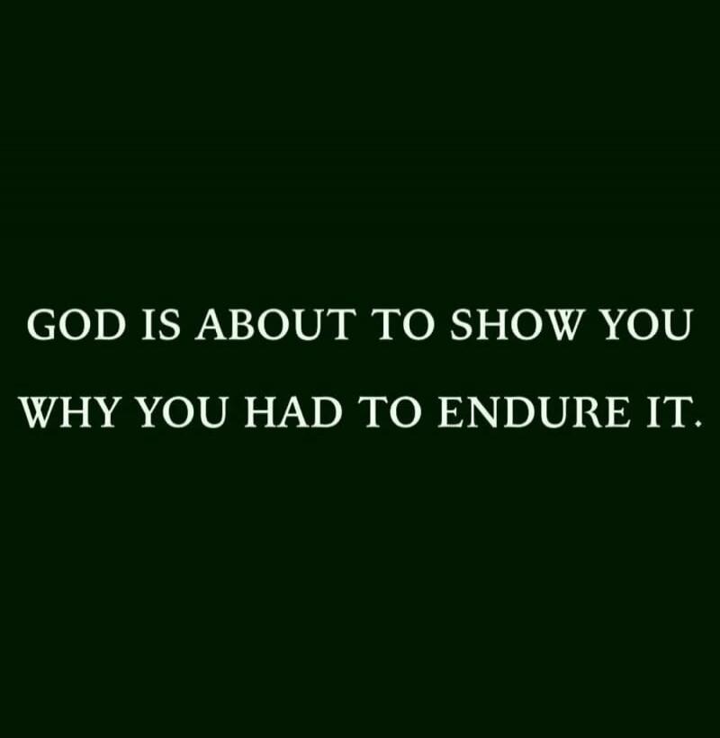GOD IS ABOUT TO SHOW YOU WHY YOU HAD TO ENDURE IT.