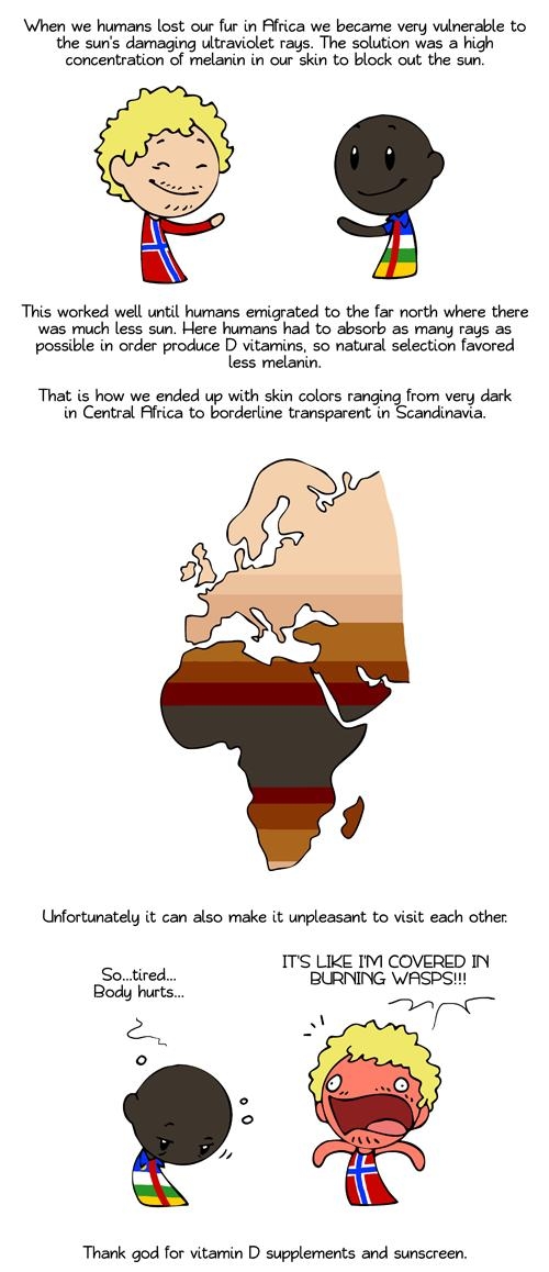 mmhnmstuxmmrlnzawmummwge suns damaging ultraviolet r lution was a concemtration of elarin in ous skin to block out the s This worked well until humans emigrated to the for north where there was much less sun Here humans had to absorb a5 many rays as possile i order produce D warmins so natural seletion lavored s melanin That is how we ended up with skin colors ranging from very dark in Central Pir