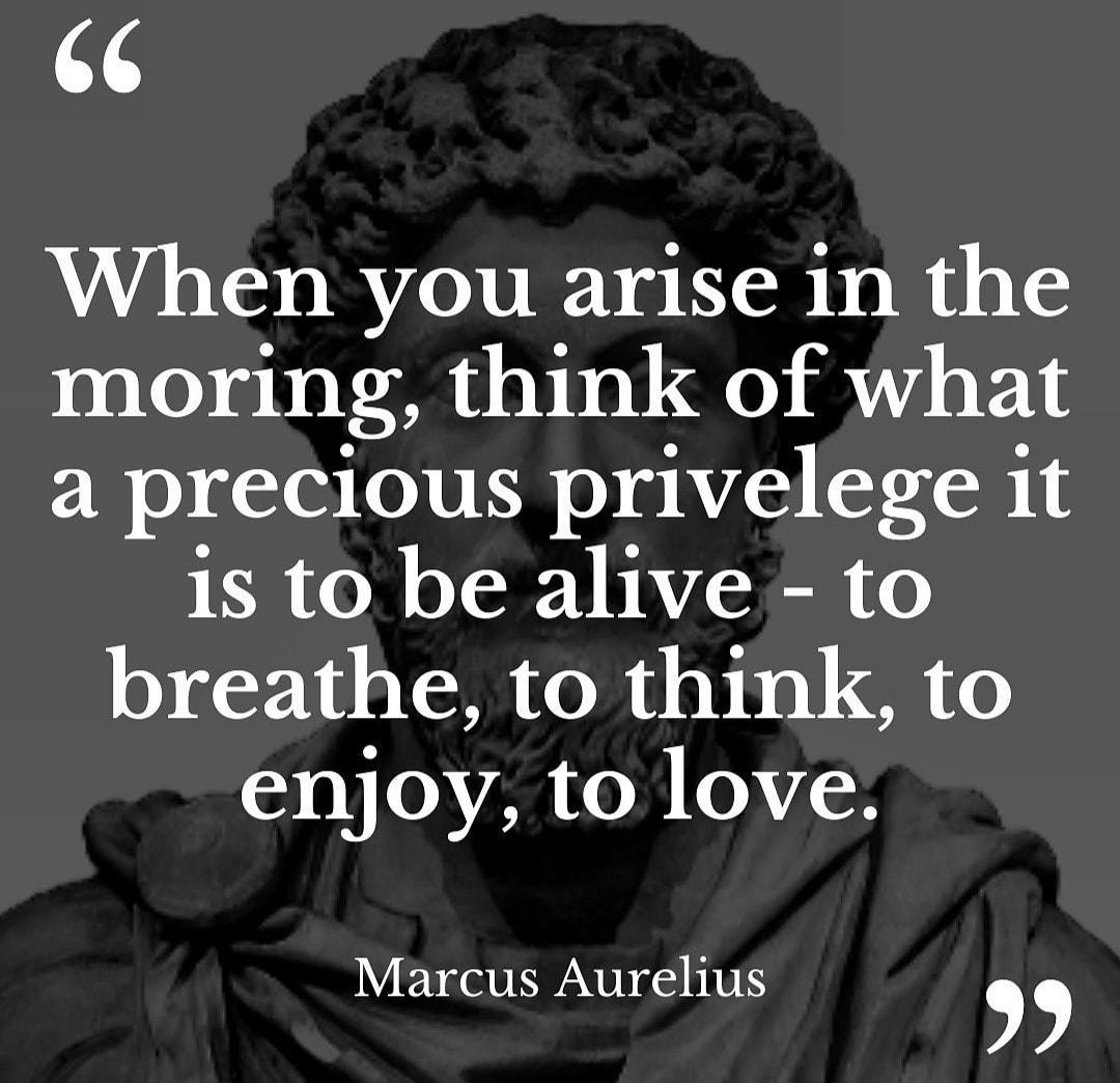 44 When you arise in the moring think of what a precious privelege it 1S to be alive to breathe to think to enjoy to love Marcus Aurelius