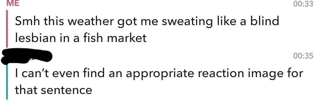 me Smh this weather got me sweating like a blind lesbian in a fish market cant even find an appropriate reaction image for that sentence