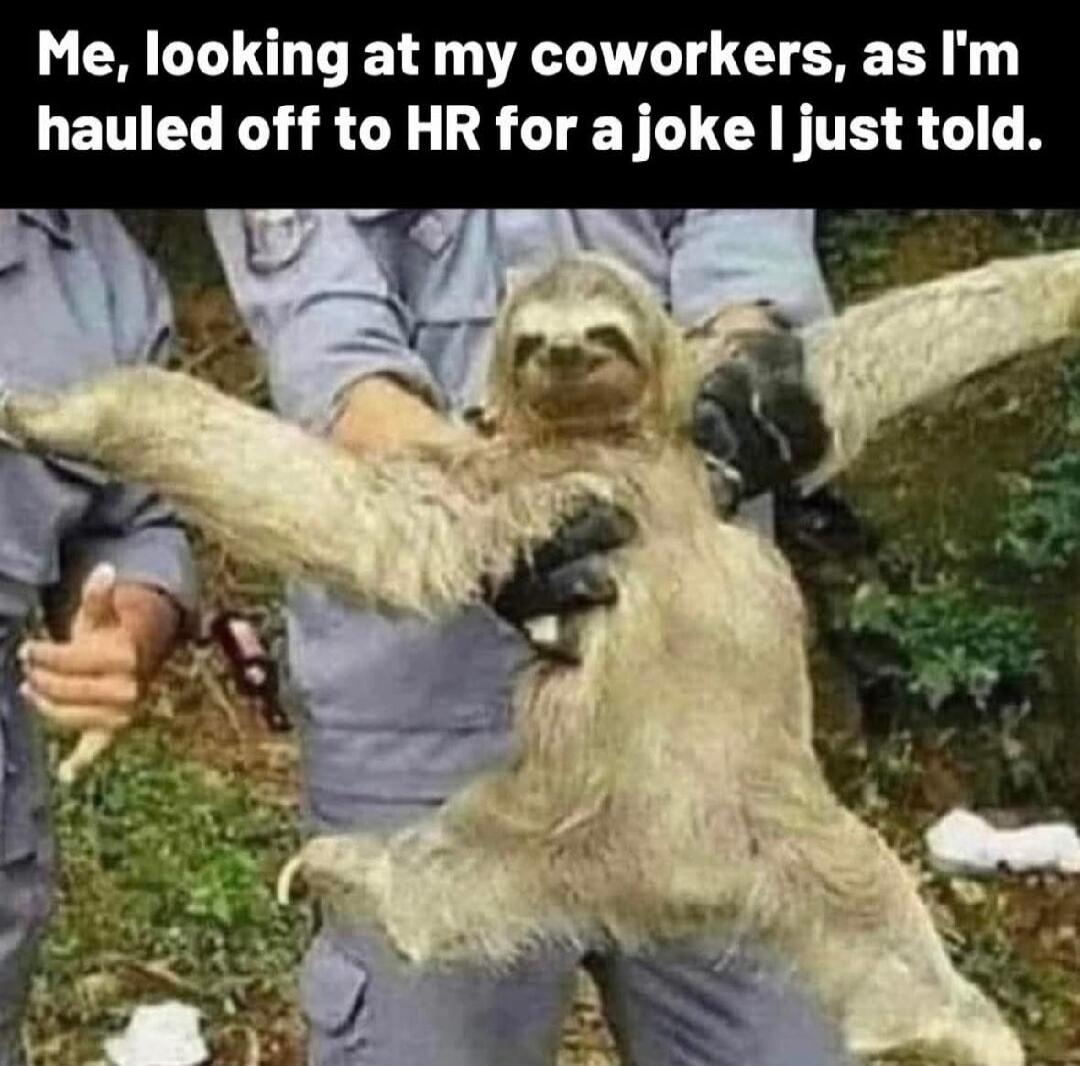 Me, looking at my coworkers, as I'm hauled off to HR for a joke I just told.