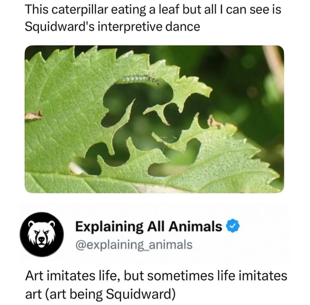 This caterpillar eating a leaf but all I can see is Squidward's interpretive dance. Explaining All Animals @explaining_animals. Art imitates life, but sometimes life imitates art (art being Squidward).