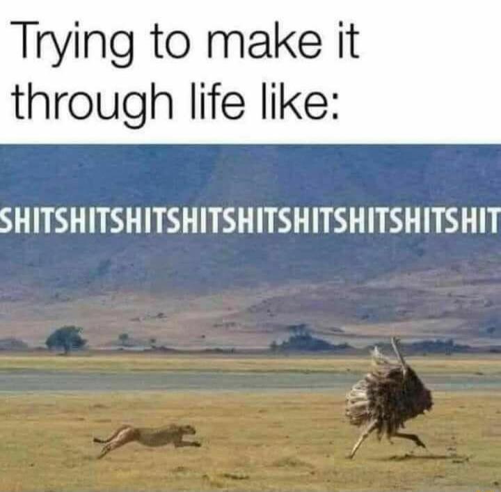 Trying to make it through life like SHITSHITSHITSHITSHITSHITSHITSHITSHIT