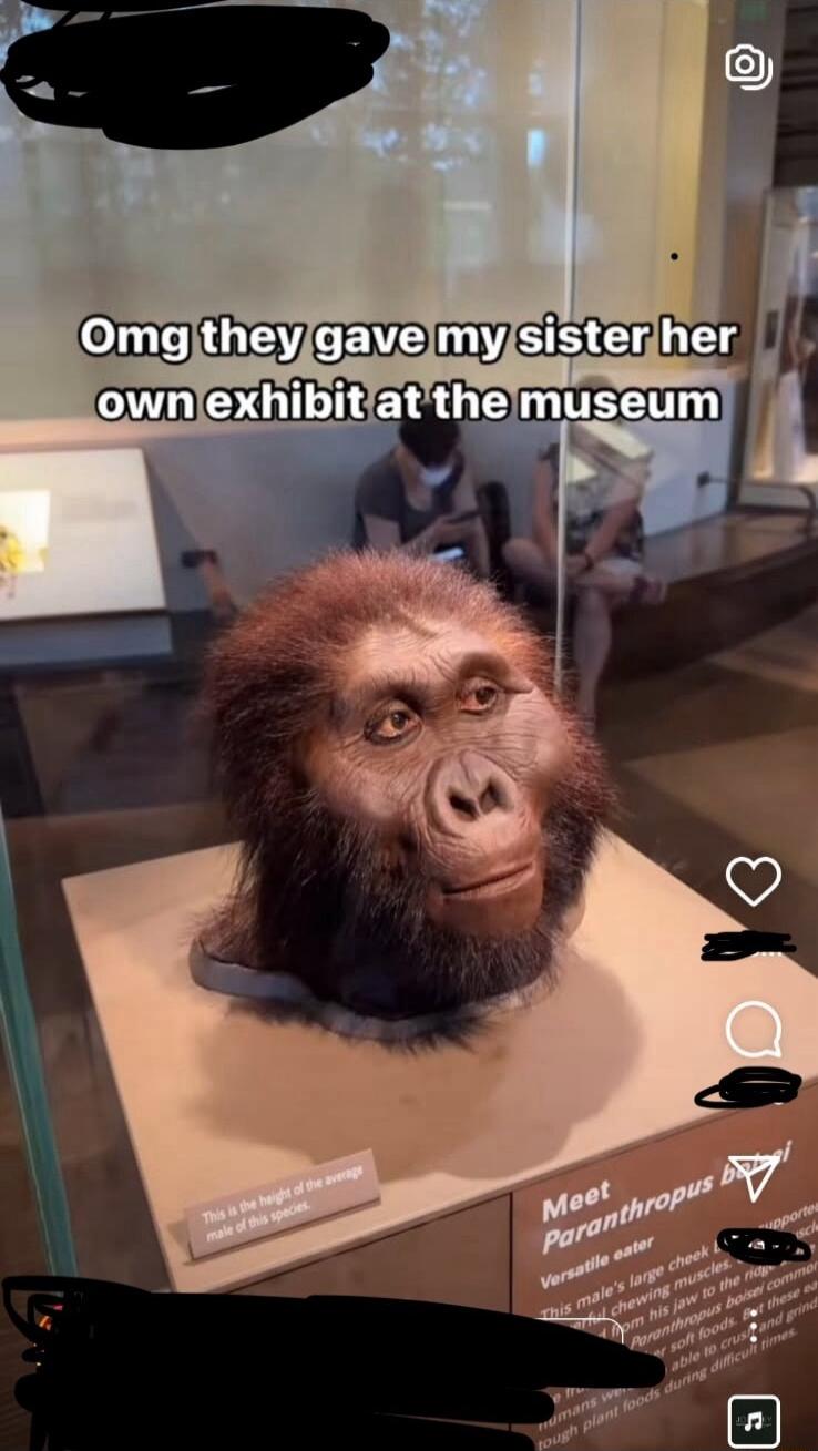 Omgtheygavelmyjsisteriher