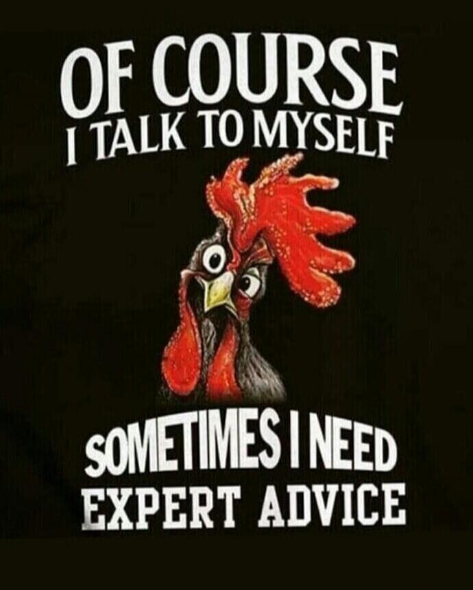 OF COURSE I TALK TO MYSELF SOMETIMES I NEED EXPERT ADVICE