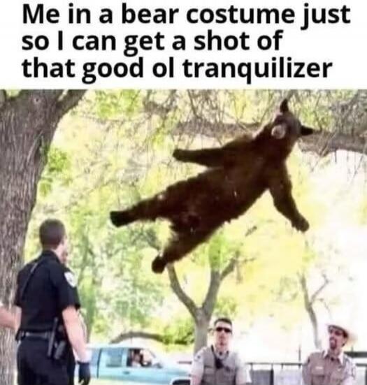 Me in a bear costume just so I can get a shot of that good ol tranquilizer