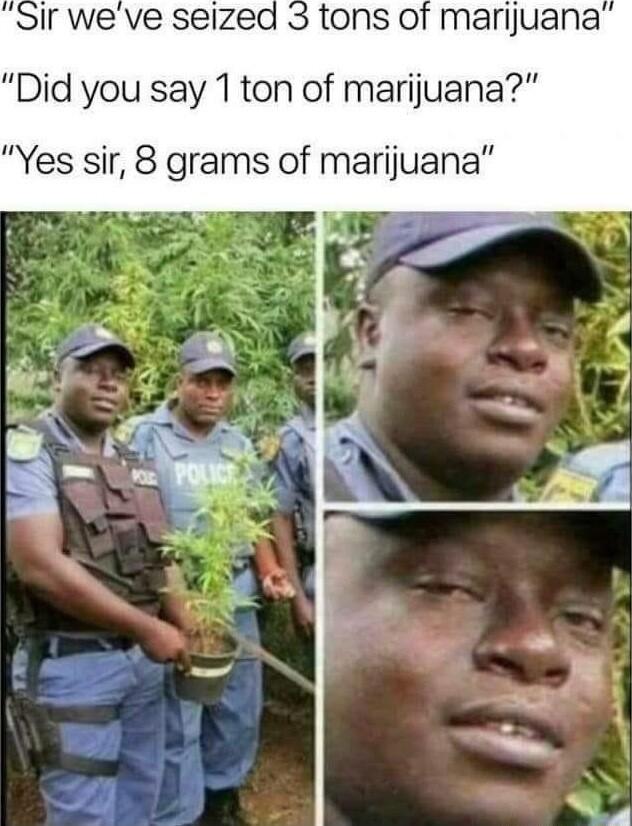 Did you say 1 ton of marijuana Yes sir 8 grams of marijuana