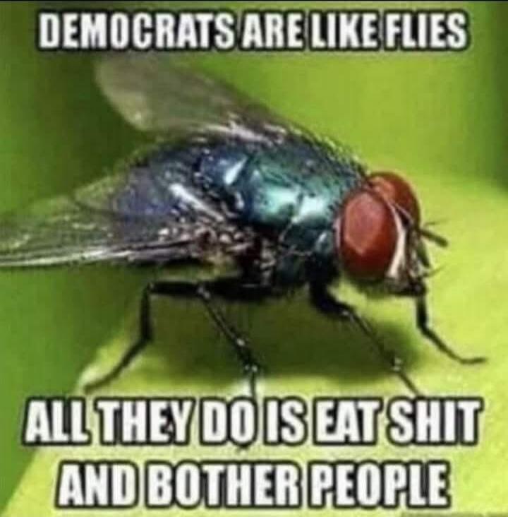 DEMOCRATS ARE LIKE FLIES ALL THEY DO IS EAT SHIT AND BOTHER PEOPLE