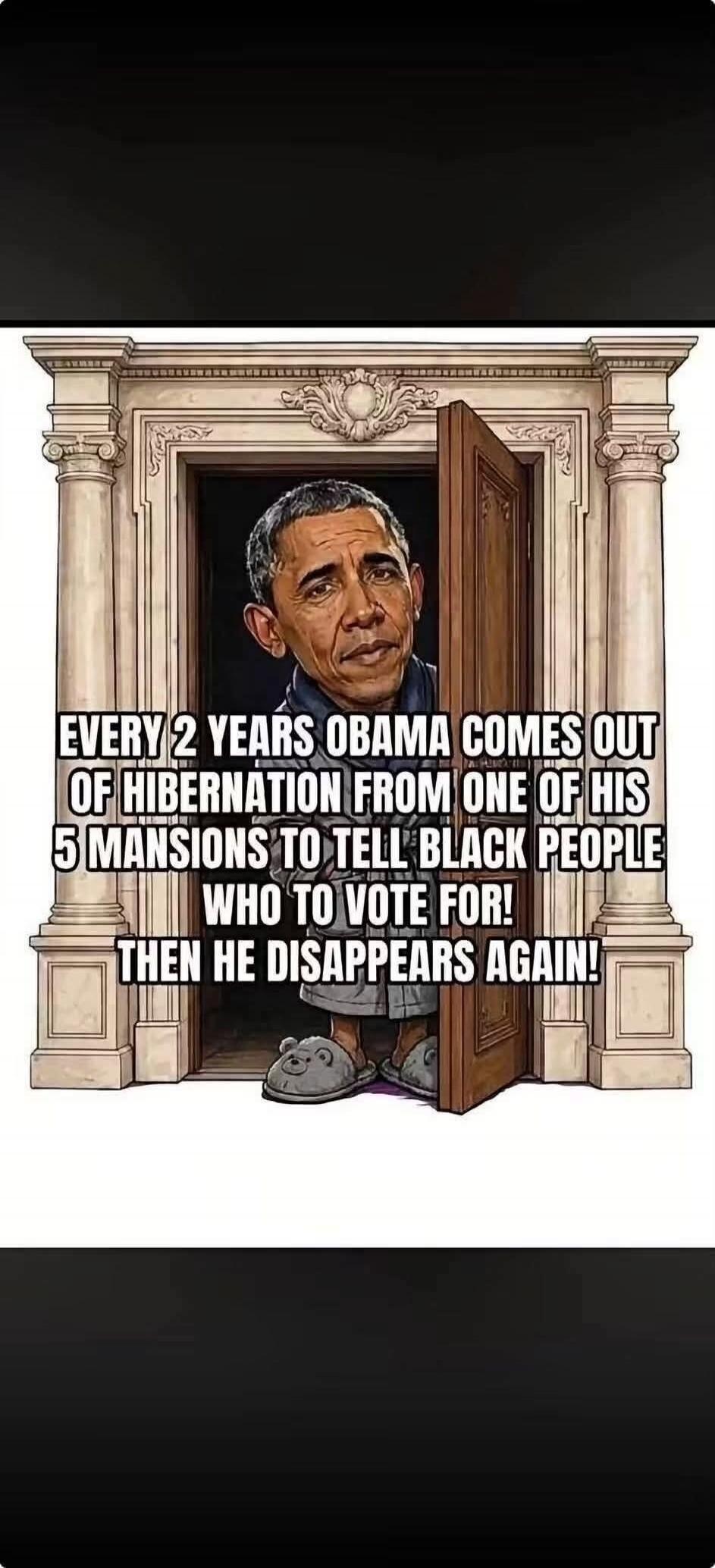 EVERY 2 YEARS OBAMA COMES OUT OF HIBERNATION FROM ONE OF HIS 5 MANSIONS TO TELL BLACK PEOPLE WHO TO VOTE FOR! THEN HE DISAPPEARS AGAIN!