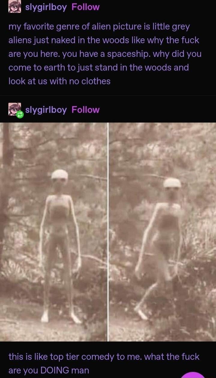 slygirlboy Follow my favorite genre of alien picture is little grey S SNV 4 ET Cle NIRRT IR WA TR Vo1 are you here you have a spaceship why did you T R GRS R N VR E ETaTe KT R ERNVeTele EETTe look at us with no clothes sygirlboy Follow this is like top tier comedy to me what the fuck are you DOING man