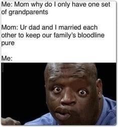 Me Mom why do only have one set of grandparents Mom Ur dad and married each other to keep our familys bloodiine pure Me