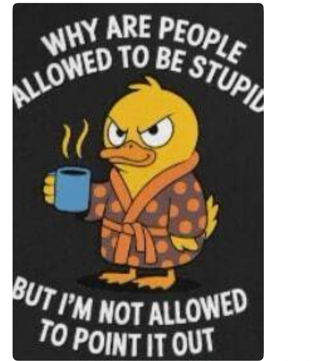 WHY ARE PEOPLE ALLOWED TO BE STUPID BUT I'M NOT ALLOWED TO POINT IT OUT