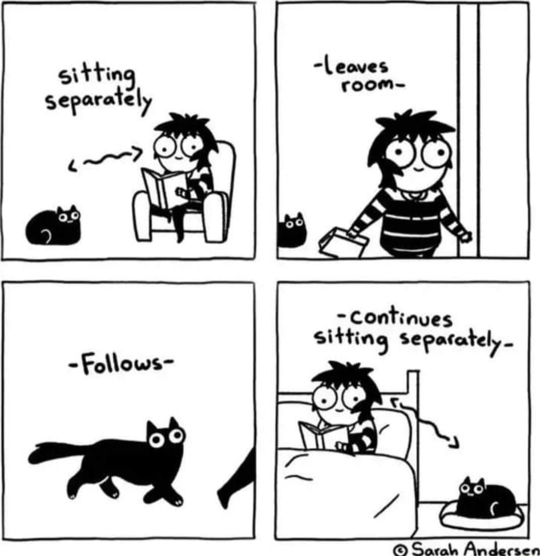 sitting separately continves sitting sepacately e ay wy