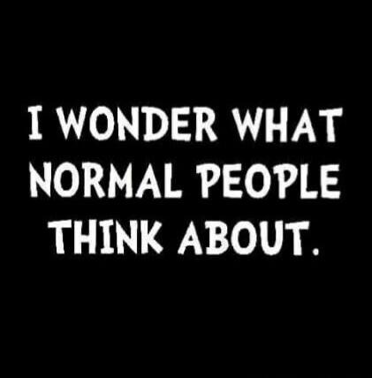 I WONDER WHAT NORMAL PEOPLE THINK ABOUT.