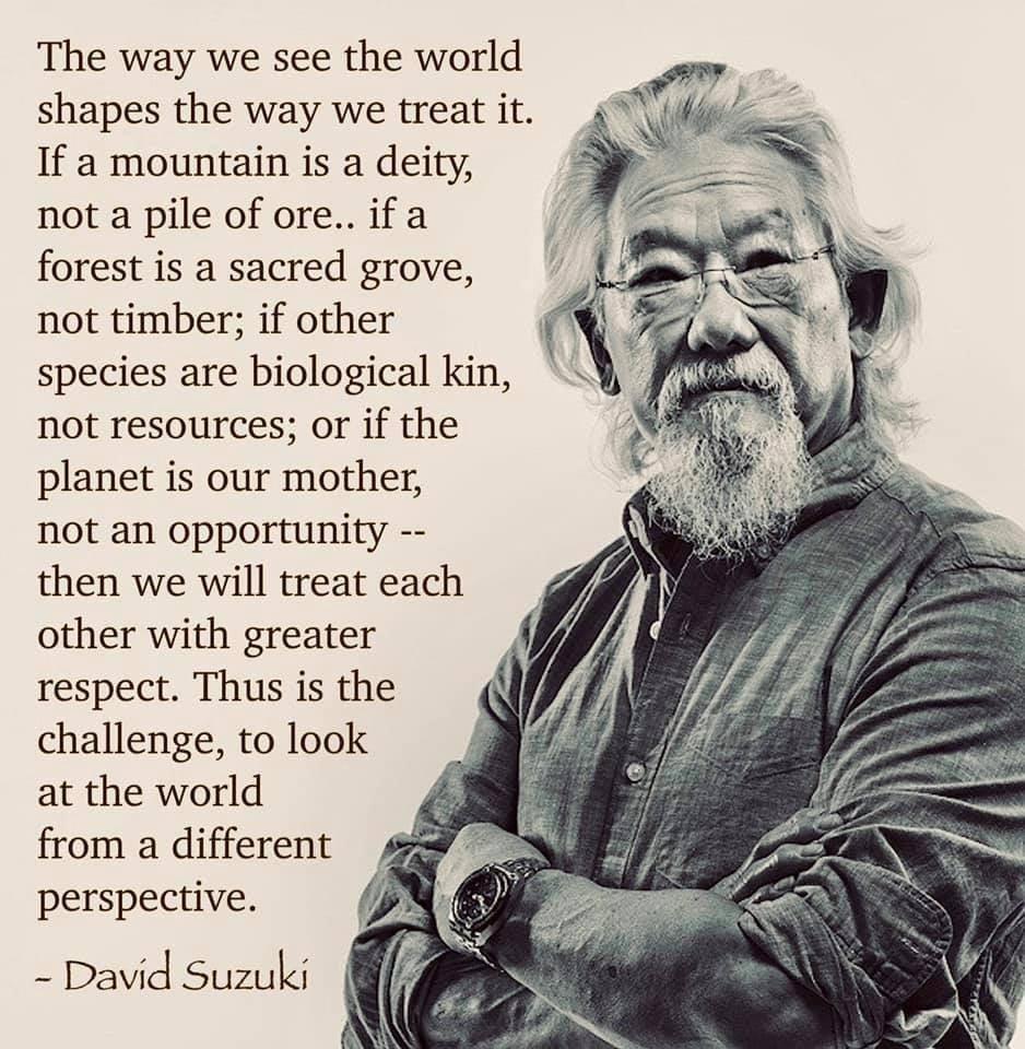 The way we see the world shapes the way we treat it If a mountain is a deity not a pile of ore if a forest is a sacred grove not timber if other species are biological kin not resources or if the planet is our mother not an opportunity then we will treat each other with greater respect Thus is the challenge to look at the world from a different perspective David Suzuki