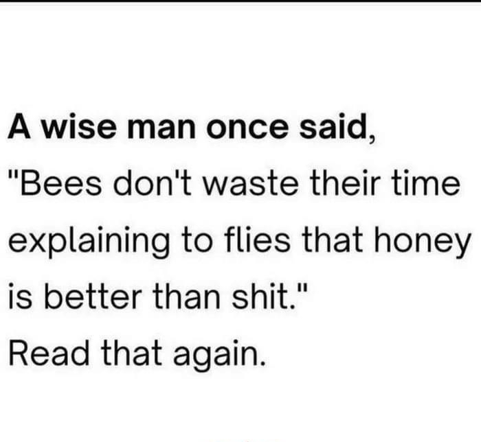 A wise man once said Bees dont waste their time explaining to flies that honey is better than shit Read that again