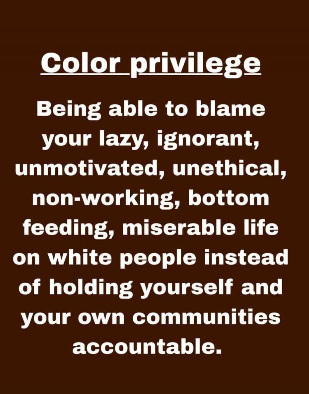 Color privilege Being able to blame your lazy, ignorant, unmotivated, unethical, non-working, bottom feeding, miserable life on white people instead of holding yourself and your own communities accountable.