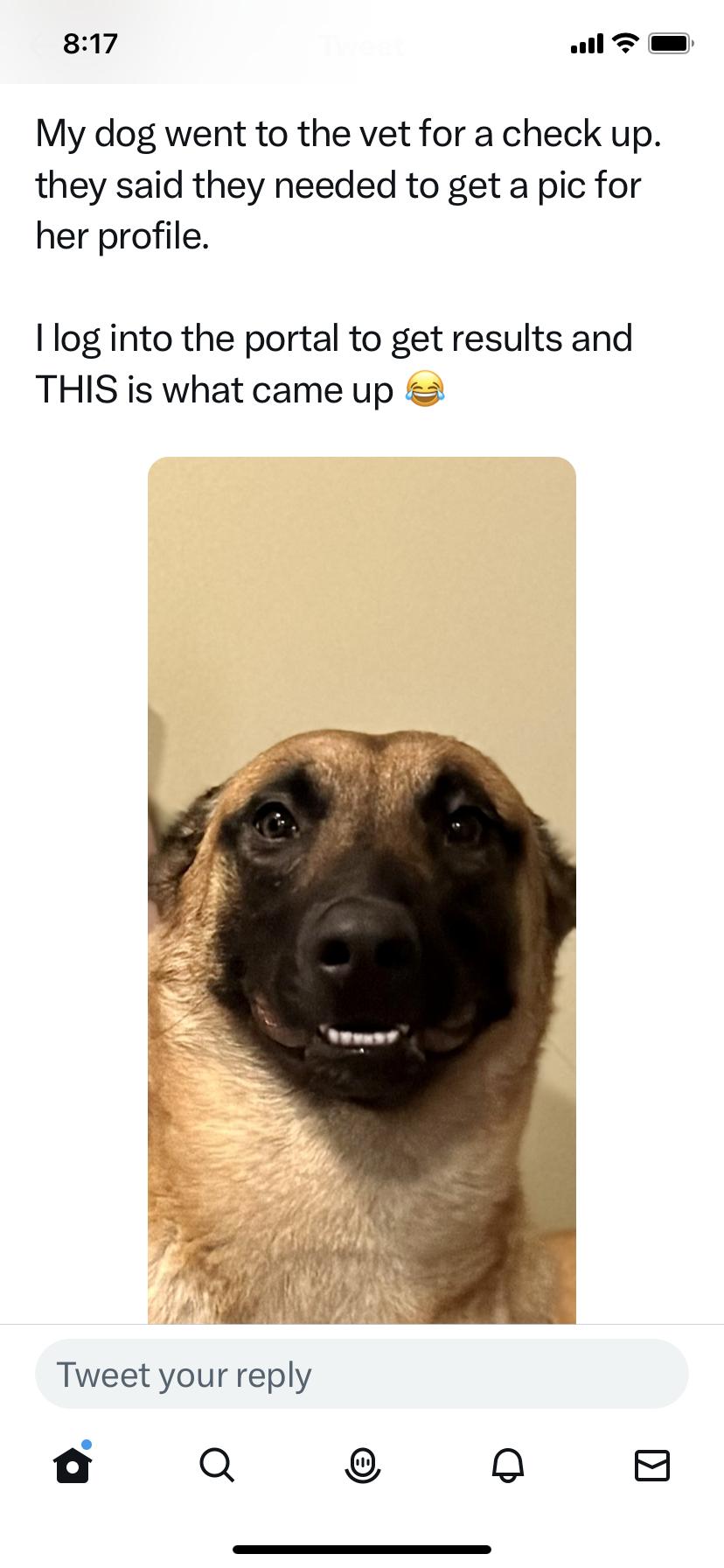 817 wll T My dog went to the vet for a check up they said they needed to get a pic for her profile log into the portal to get results and THIS is what came up Tweet your reply o Q Q