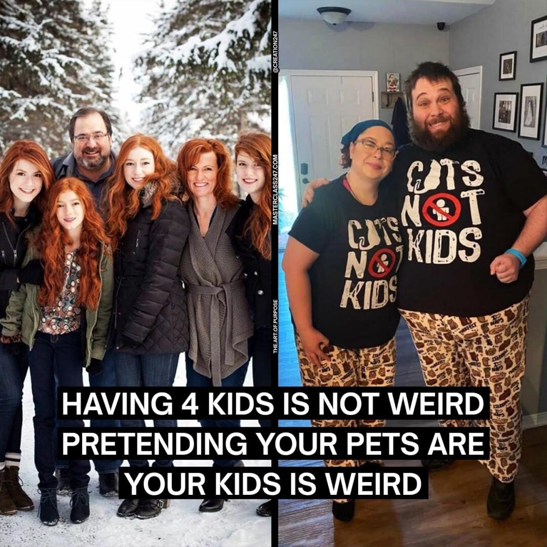e HAVING 4 KIDS IS NOT WEIRD PRETENDING YOUR PETS ARE YOUR KIDS IS WEIRD