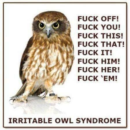 FUCK OFF FUCK YOU FUCK THIS FUCK HER FUCK EM IRRITABLE OWL SYNDROME