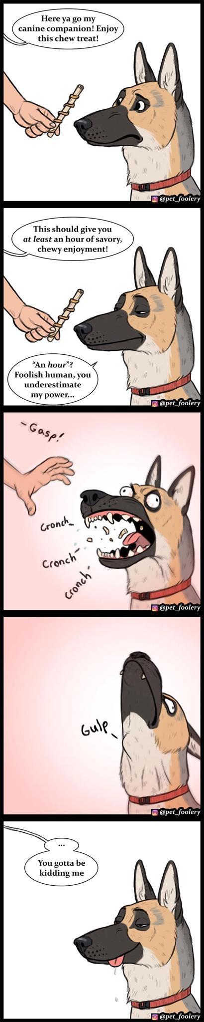 Here ya go my canine companion Enjoy this chew treat This should give you at least an hour of savory chewy enjoyment Foolish human you underestimate my power You gotta be kidding me