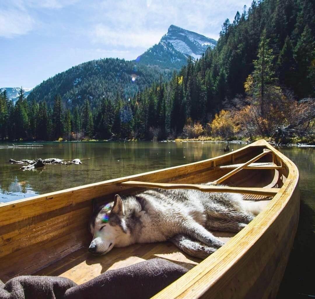 Session ID: 1011764.