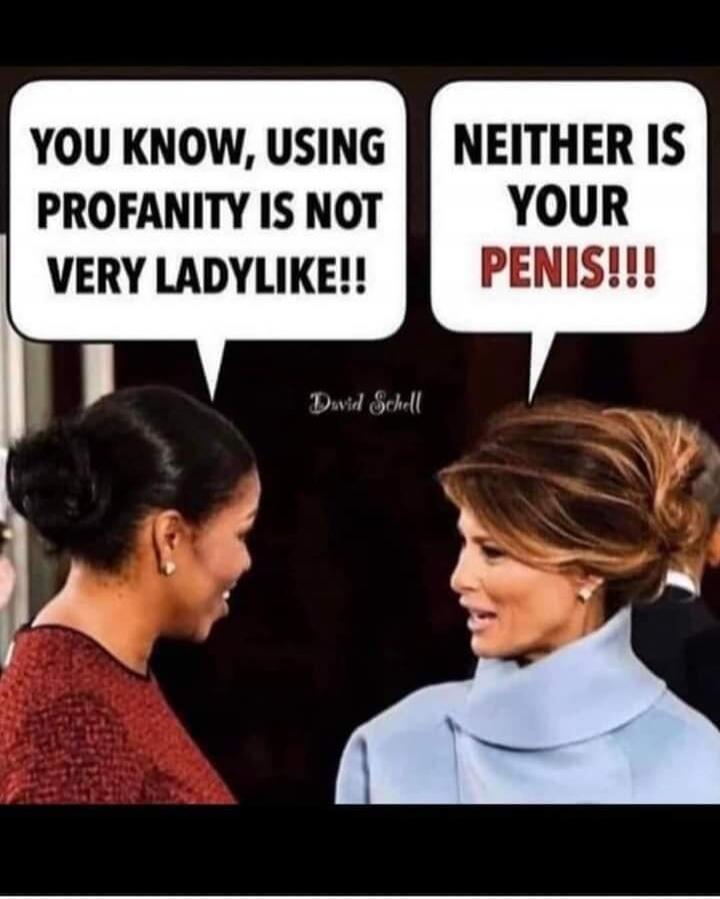 YOU KNOW, USING PROFANITY IS NOT VERY LADYLIKE!!
NEITHER IS YOUR PENIS!!!