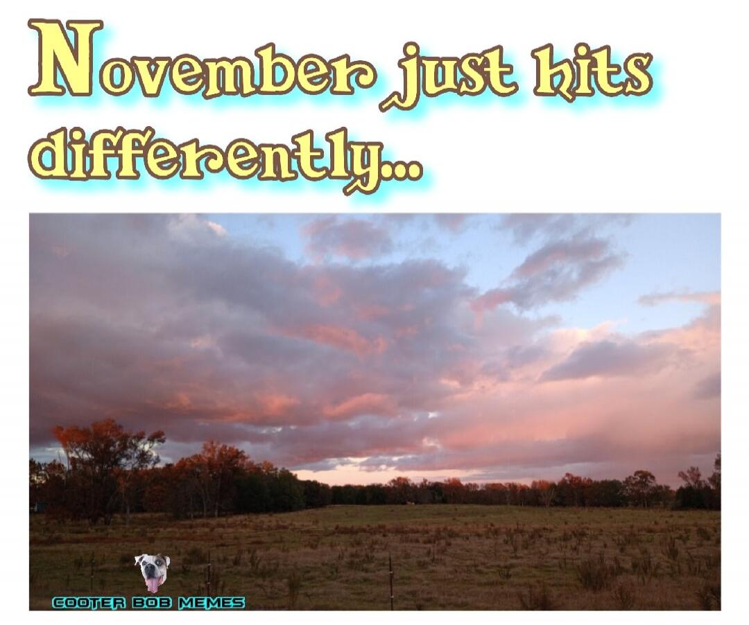 November just hits differently...