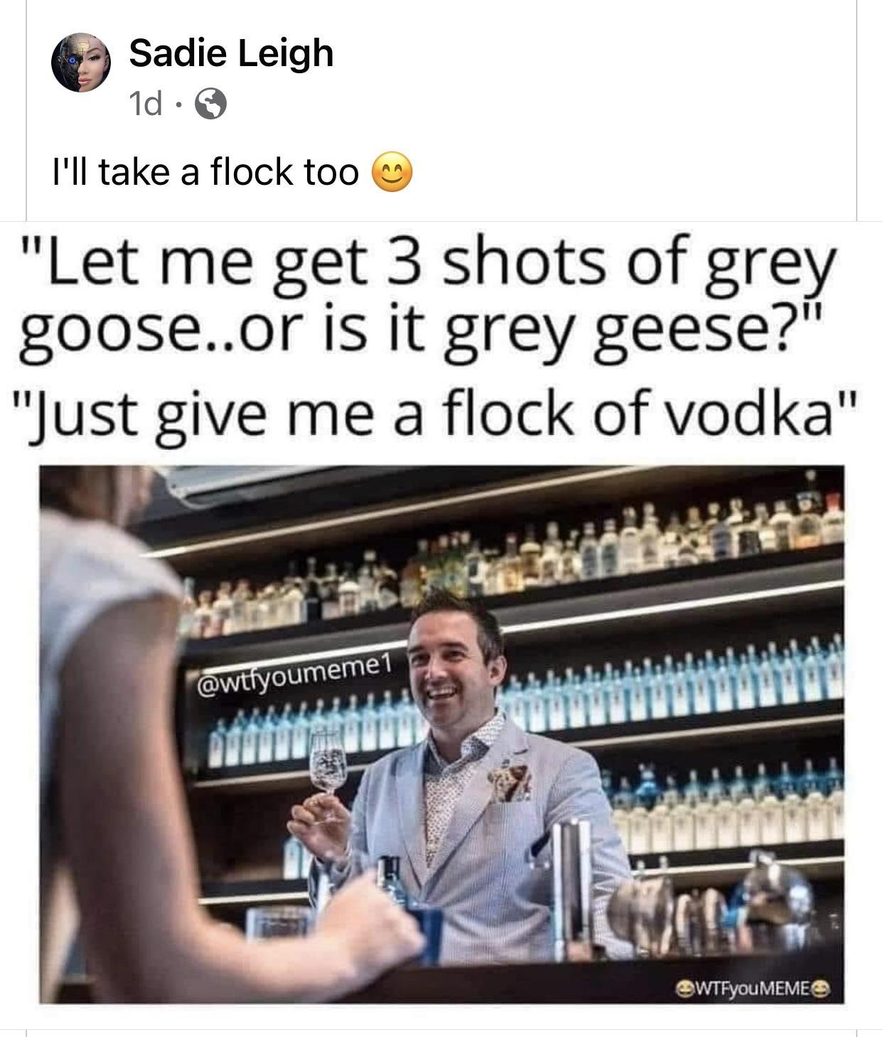 3 Sadie Leigh S Ill take a flock too Let me get 3 shots of grey gooseor is it grey geese Just give me a flock of vodka P WTFyouMEME