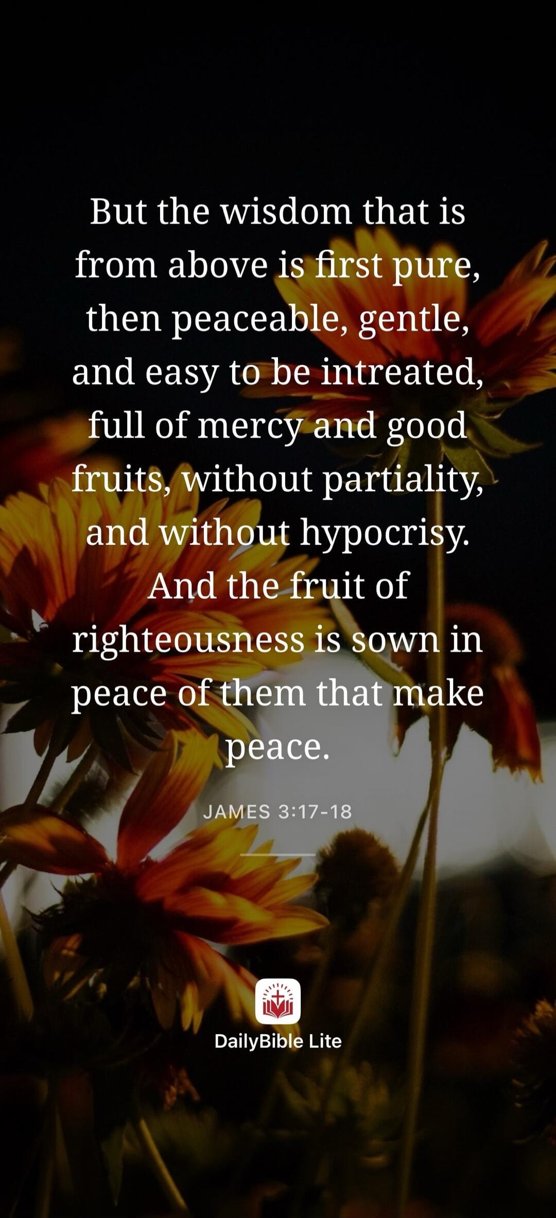 But the wisdom that is from above is first pure, then peaceable, gentle, and easy to be intreated, full of mercy and good fruits, without partiality, and without hypocrisy. And the fruit of righteousness is sown in peace of them that make peace. JAMES 3:17-18 DailyBible Lite
