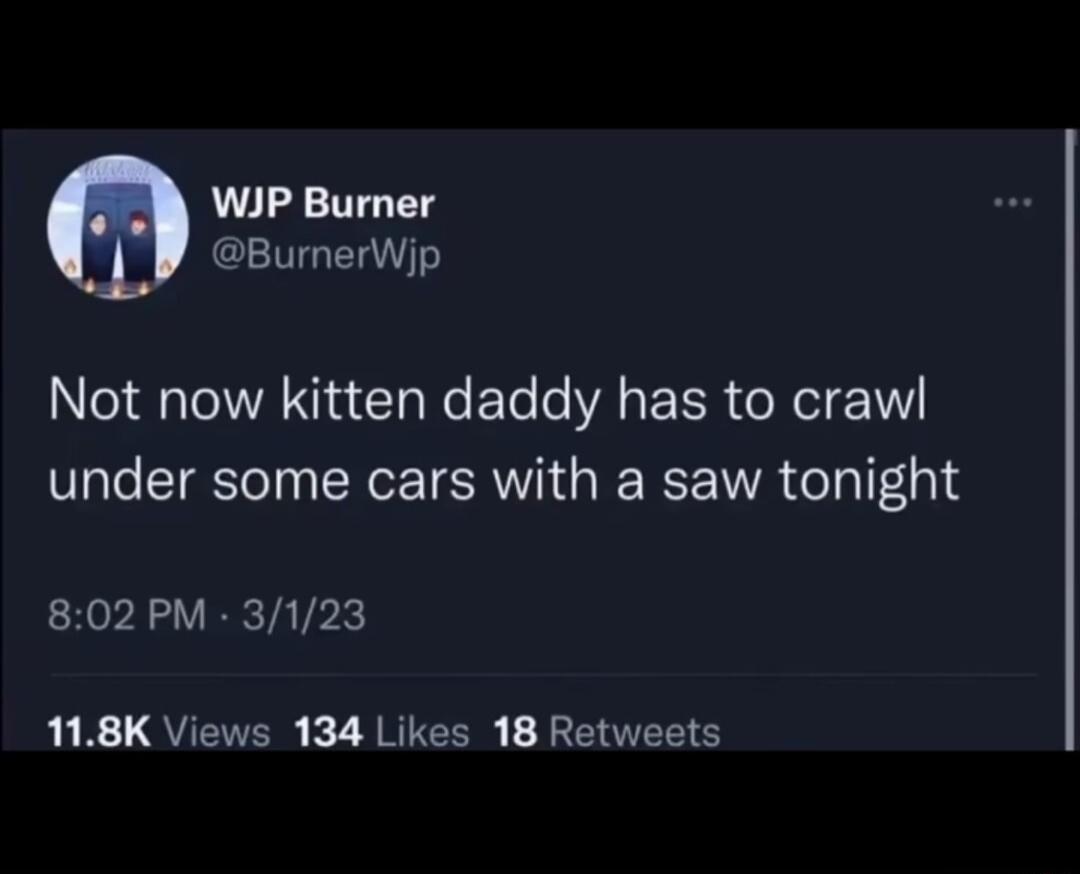 WJP Burner BurmerWjp Not now kitten daddy has to crawl under some cars with a saw tonight 802PM 3123 L1 RLQUETER CAREEE EEE G