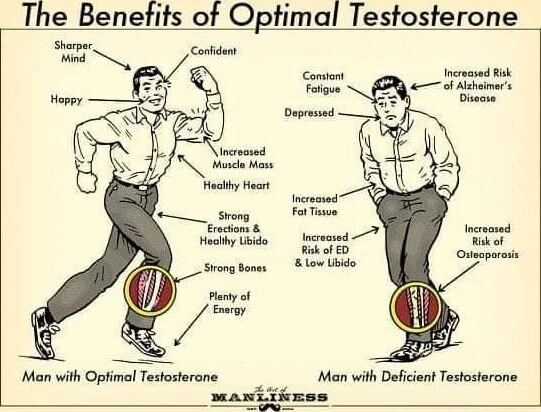 The Benetits of Optimal Testosterone S Condont Hocihy o Siong Sones