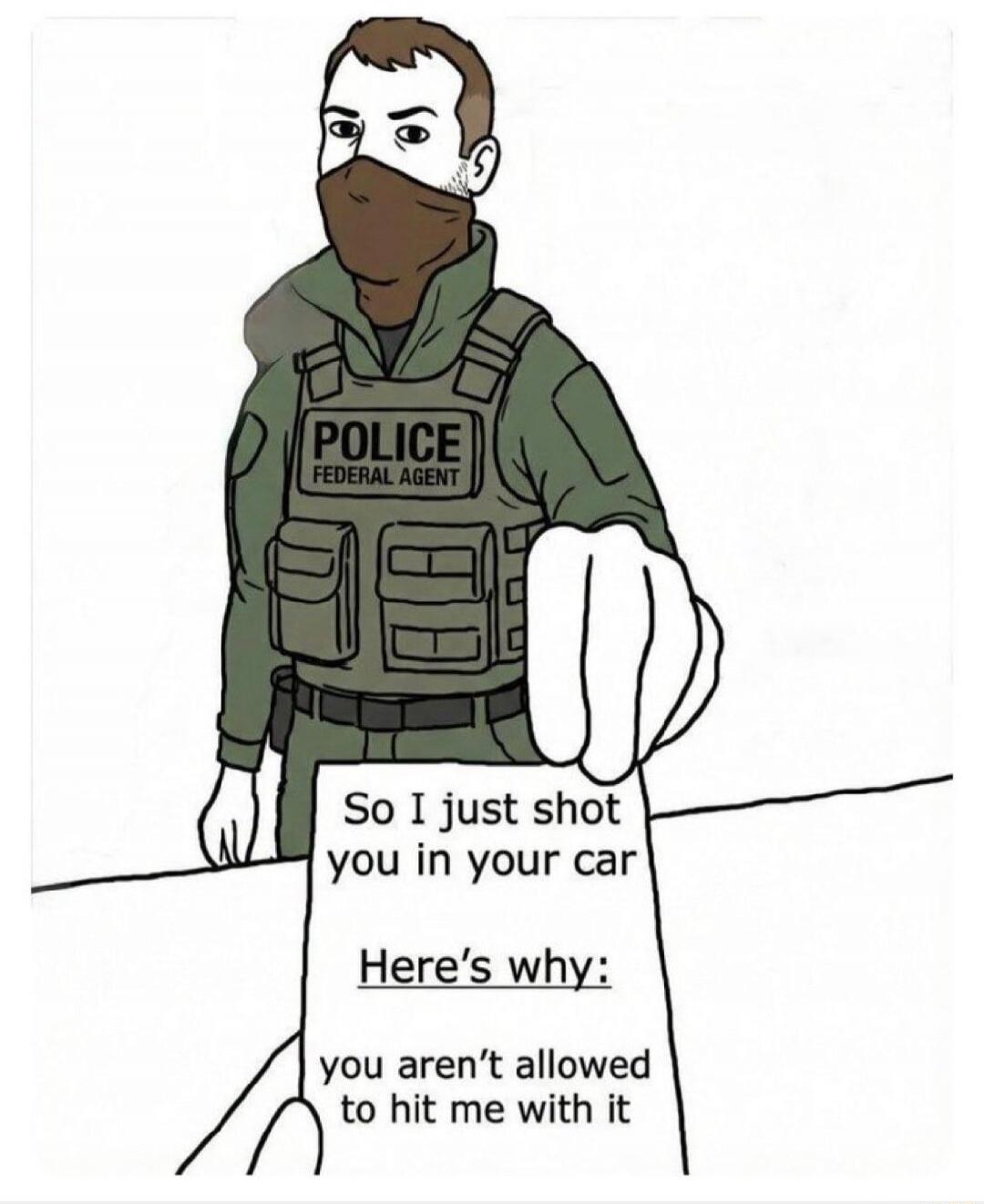POLICE FEDERAL AGENT So I just shot you in your car Here's why: you aren't allowed to hit me with it