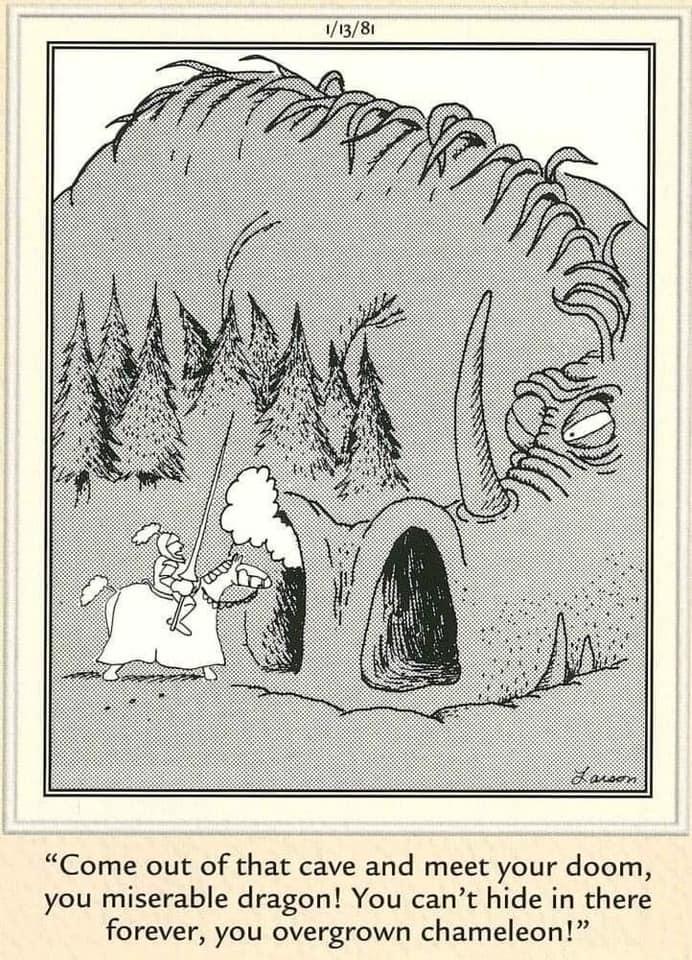 Come out of that cave and meet your doom you miserable dragon You cant hide in there forever you overgrown chameleon
